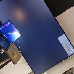 55 inch Flatscreen Monitor