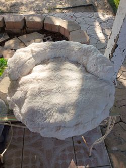 Cat bed
