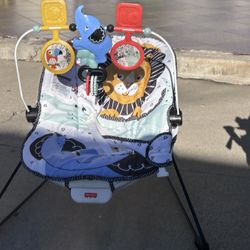  Baby Bouncer 