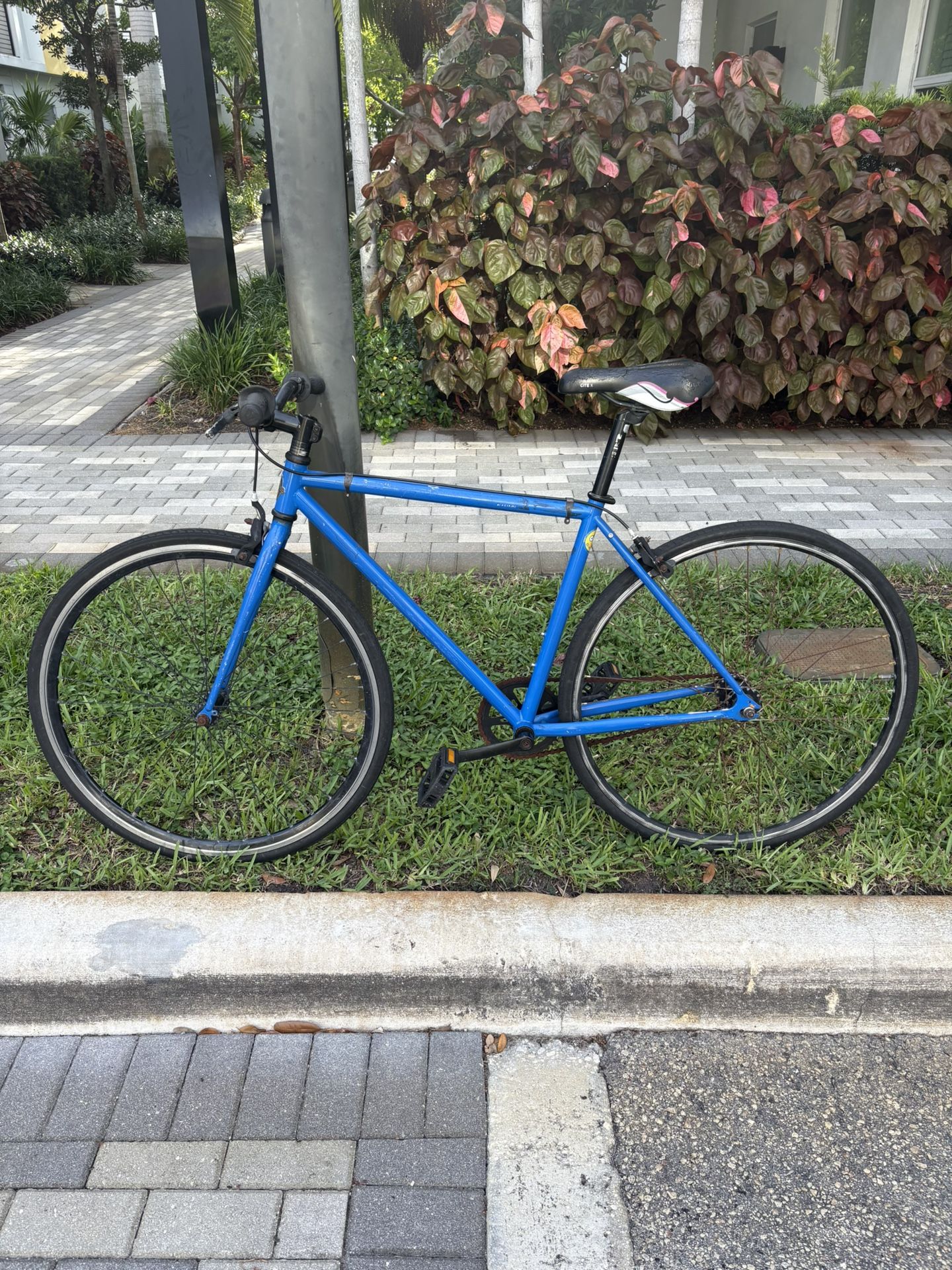 Blue Road Bike