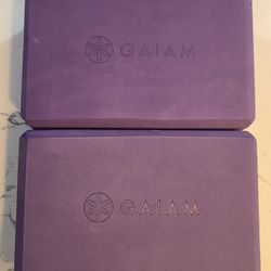 2 Purple Gaiam Yoga Blocks