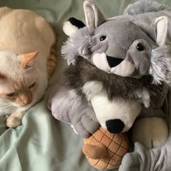 Squirrel Pet Costume