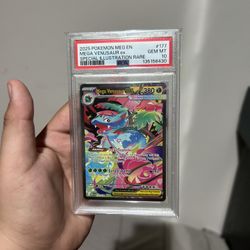 Mega Venusaur Mega Evolution Pokemon 