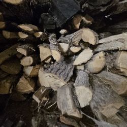 Firewood Fire Wood