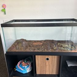 20 Gallon Tank