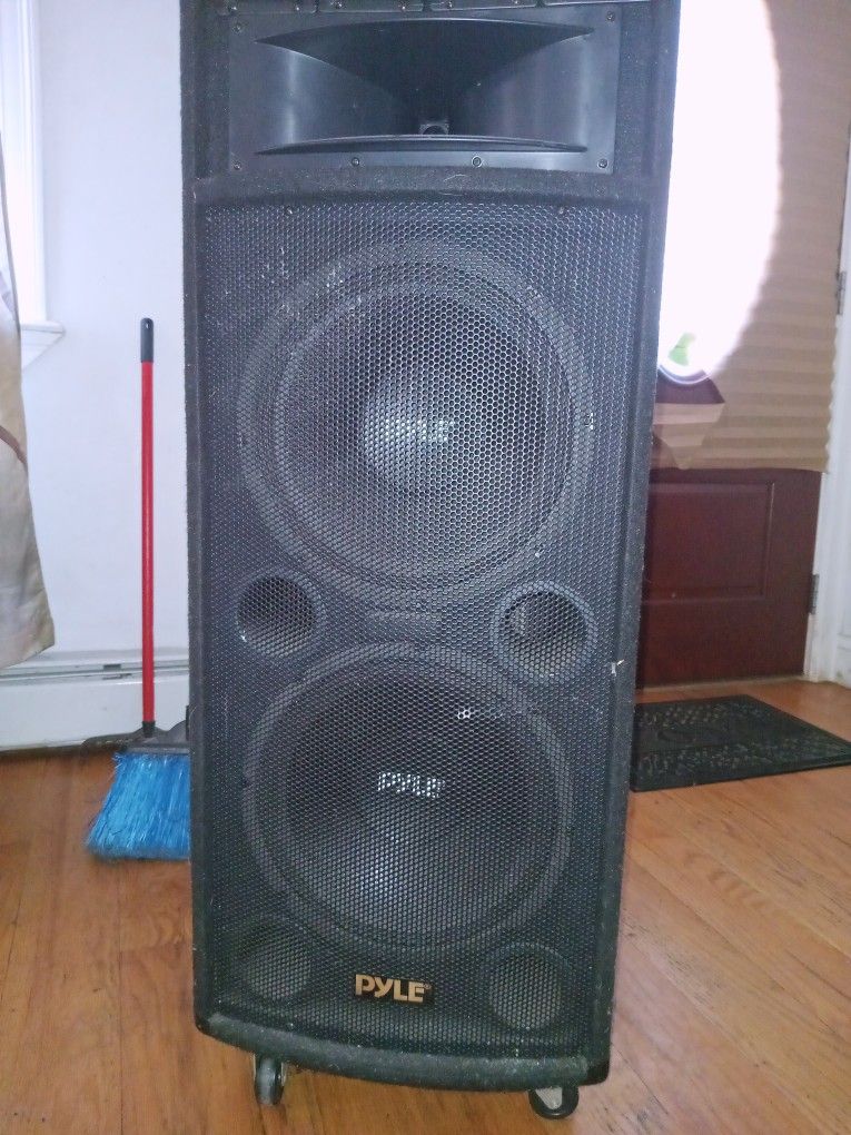 Dj Speaker 10'