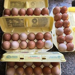 FRESH EGGS