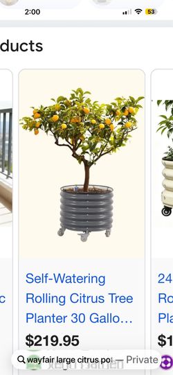 Large pot