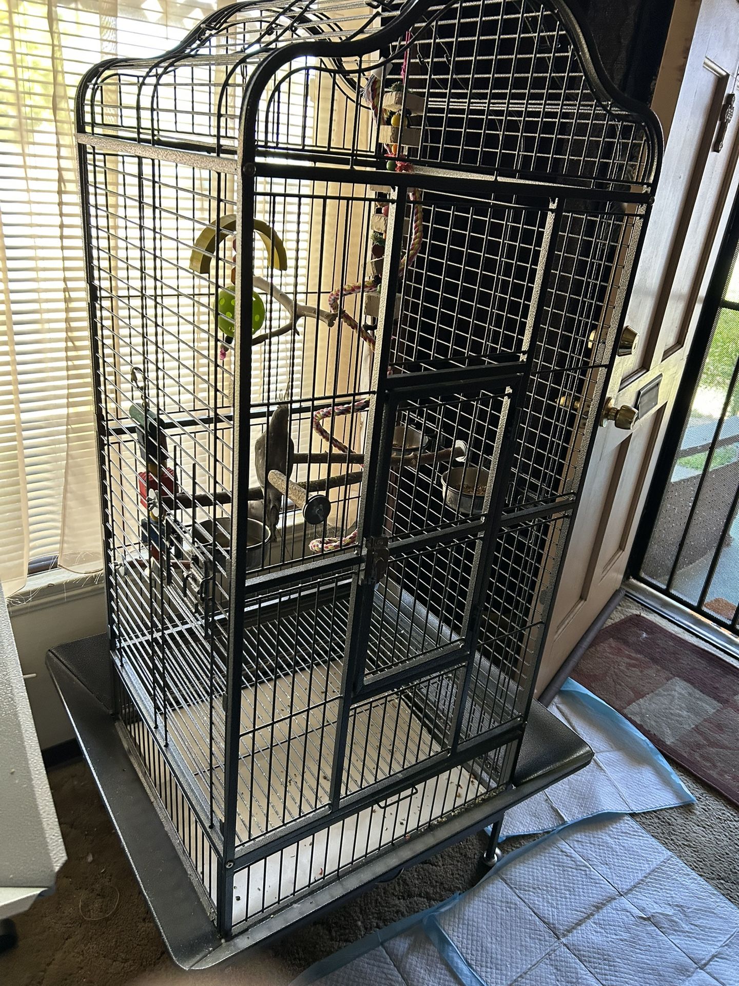 Bird Cage With Extras