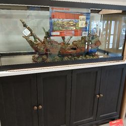 Wanted Big Acrylic Fish Tank
