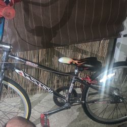 Si Mini Haro Redline 