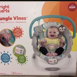 Bright Starts Baby Bouncer $20