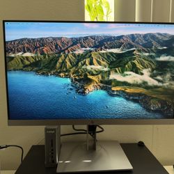 HP EliteDisplay monitor
