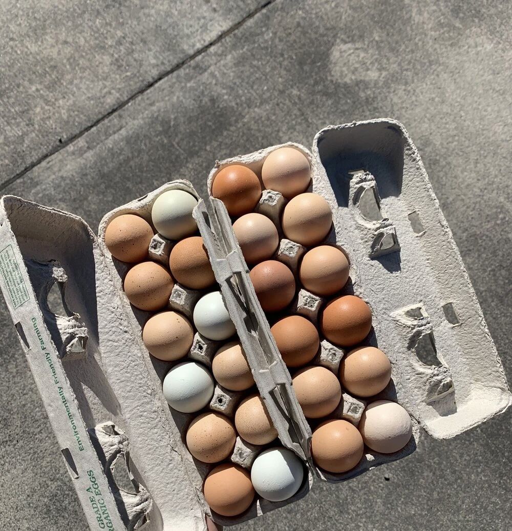 Organic Eggs 