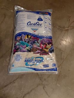 Caribbean Sea reef sand