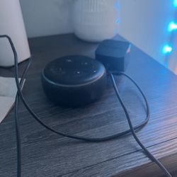 Alexa Echo Speaker
