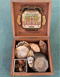 Seashells, Freshwater & Terrestrial Shells, & Pleistocene Age Shells in Wood Box