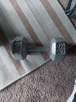 25lb Iron Weight