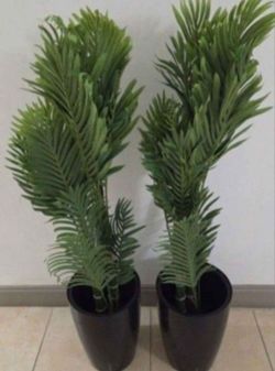 PAIR of 4ft Faux Golden Cane Palms in 16in Black Planters (2 for $90) @ Lasting Creations