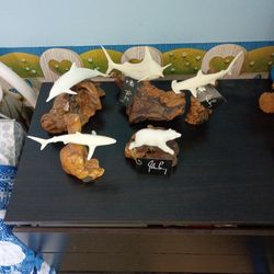 John Perry Collectable 