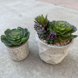 Home Decor