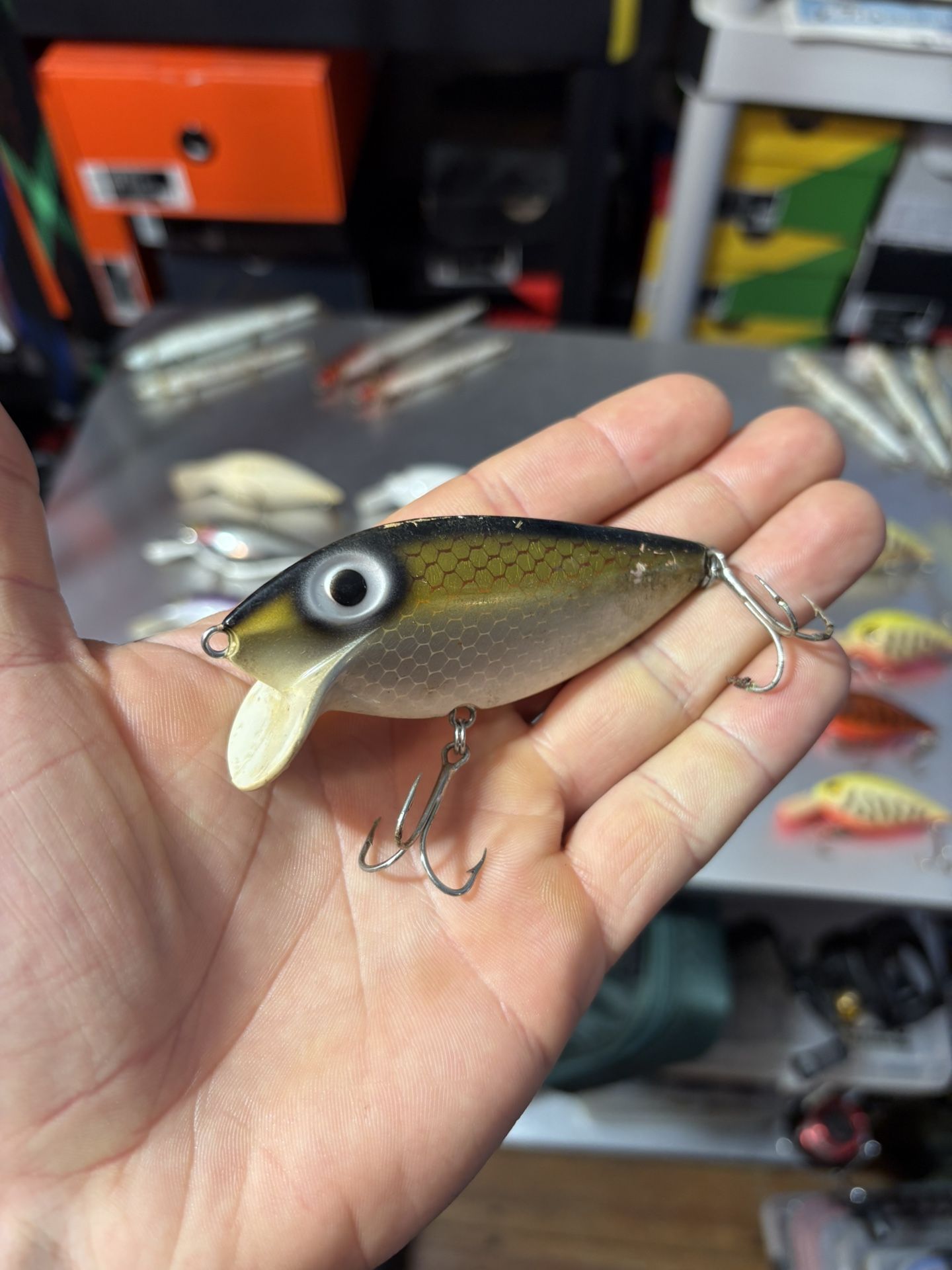 Storm Thin Fin Crankbait # D206486