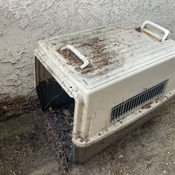 Dirty Dog crate 