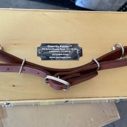 Guerrilla Painter Wet Paint Carrier