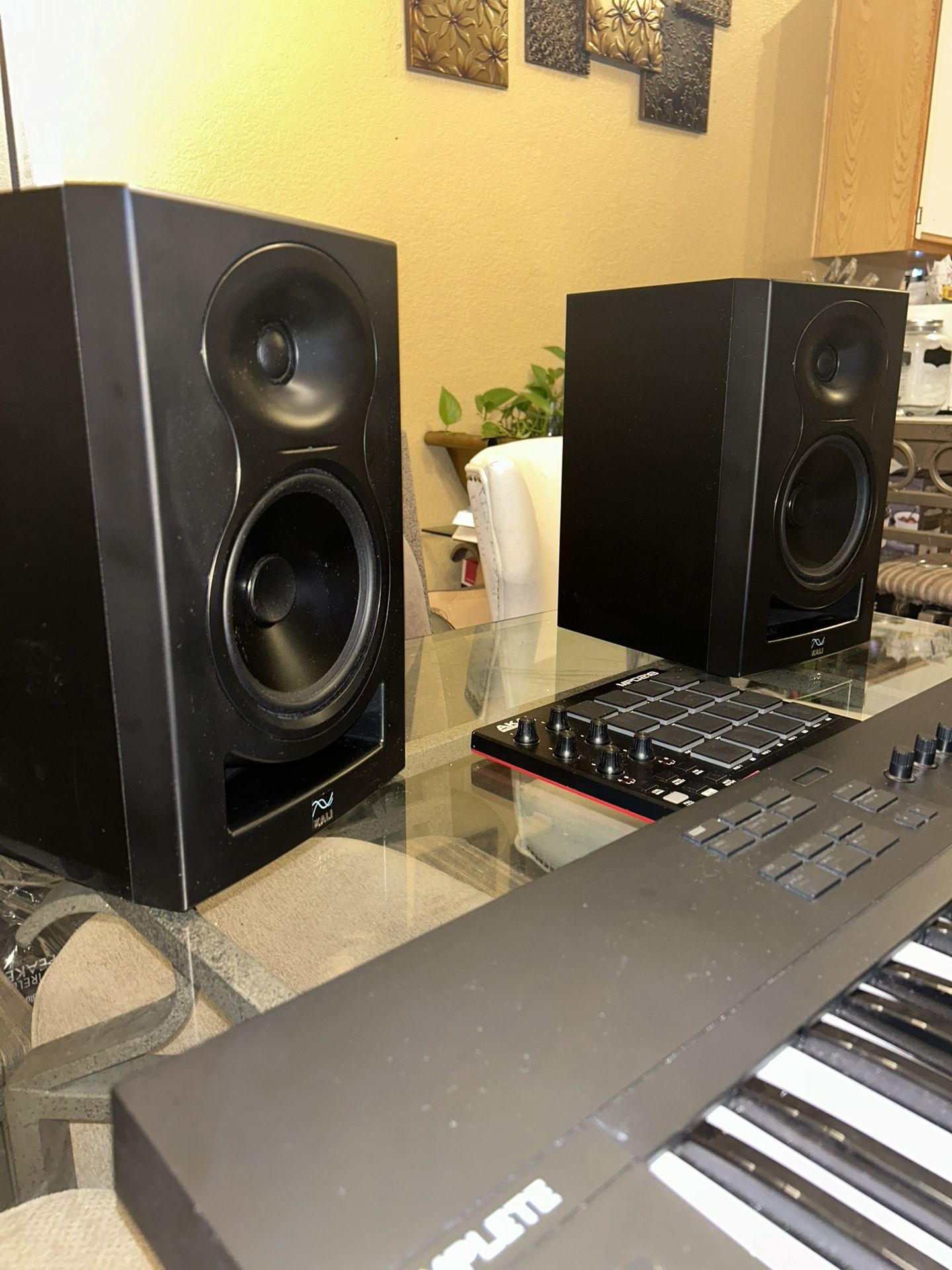 Kali Studio Monitors (SALE)