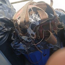 Belt/harness For Climbing Telephone Poles