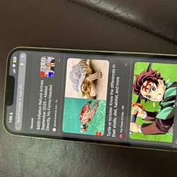 iPhone 13 PRO MAX 500GB Unlocked 