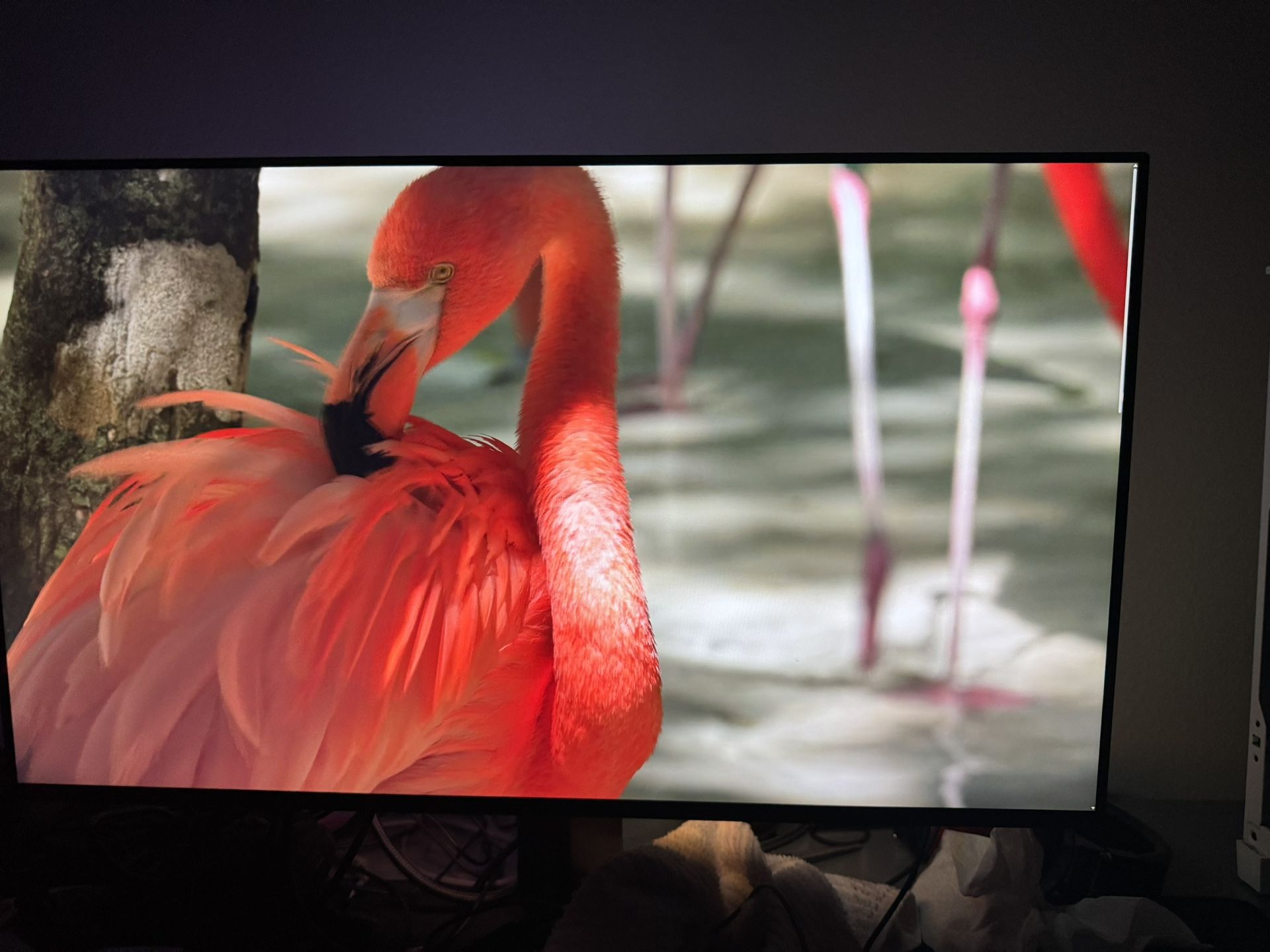 LG 27GP950-B 4k 160hz nano ips 27 inch gaming and edit monitor
