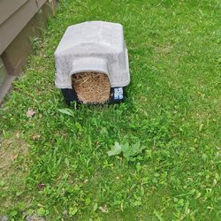 Dog House