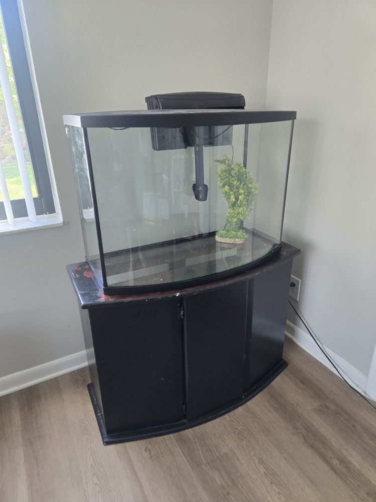Aquarium With Stand