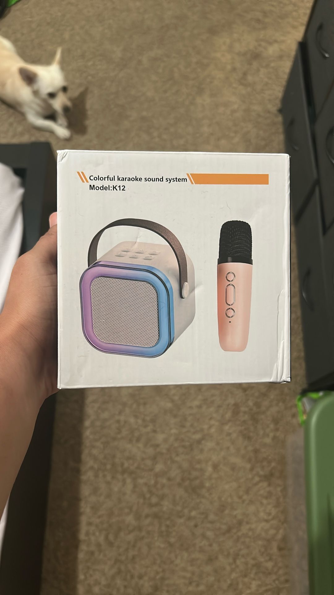 Mini Karaoke