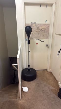 Freestanding Speed Bag Punching Ball