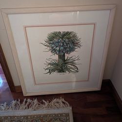 Rich, Italian Hand-Colored Botanical Print after BASILIUS BESLER