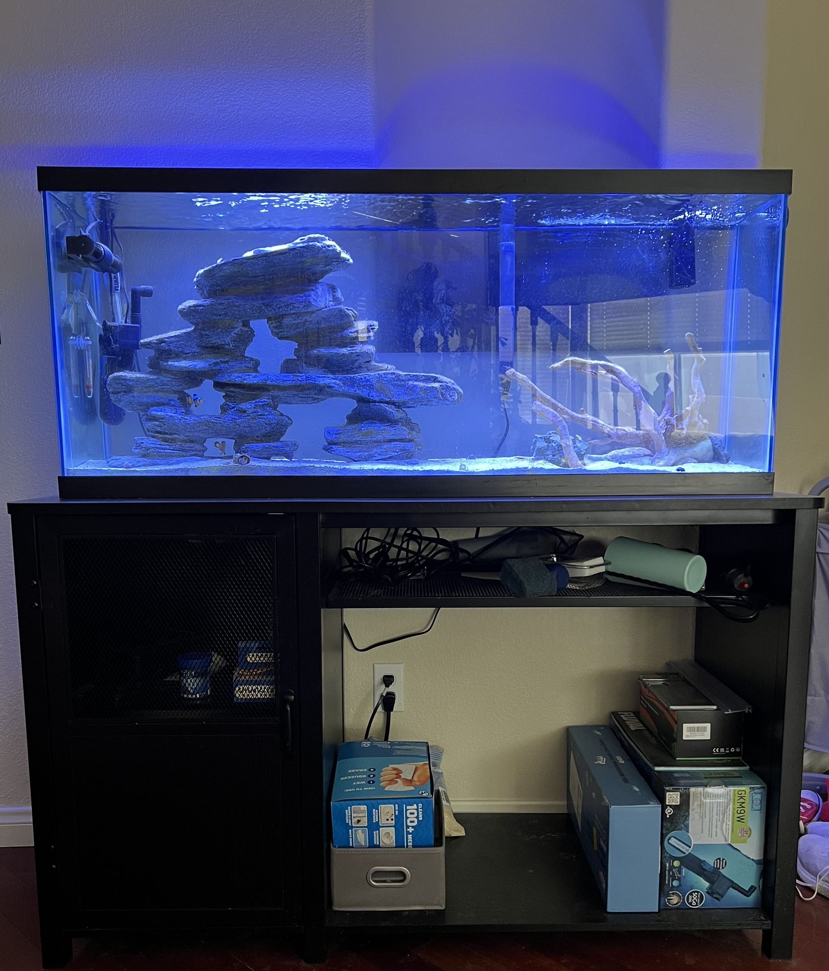 55 Gallon Saltwater Aquarium / Fish Tank with Stand and Equipment