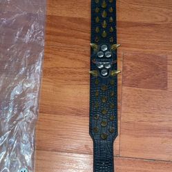 Spiked Dog Collar 