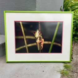 Original Framed Photography – 25x19” Custom Frame