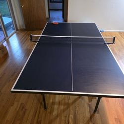 Ping-pong Table