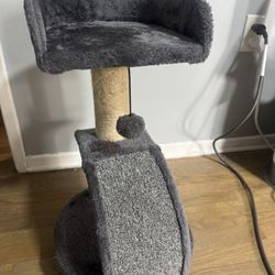 Cat scratch post