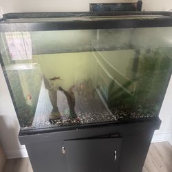 Fish Tank