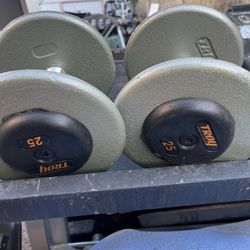 Troy 25lb Pro Style Iron Dumbbell Set 