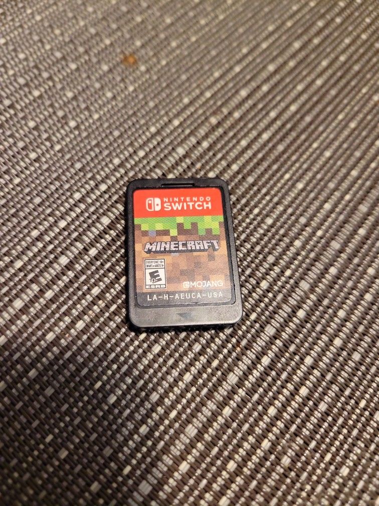 Minecraft For Nintendo