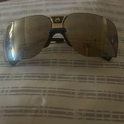 Dale Earnhardt Gargoyle Sunglasses 