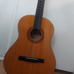 Normal Acoustic Guitar