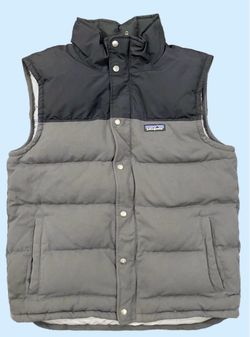 Patagonia duck down vest (Medium)