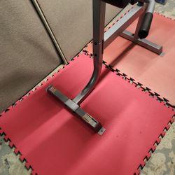EXERCISES BACK EXTENSION MACHINES 