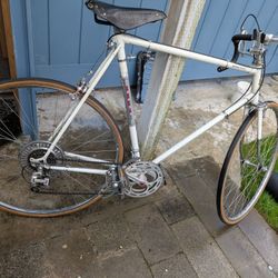 Sekai Bicycle 